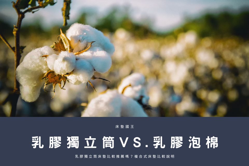 乳膠獨立筒VS.乳膠泡棉，乳膠獨立筒床墊比較推薦嗎？複合式床墊比較說明 