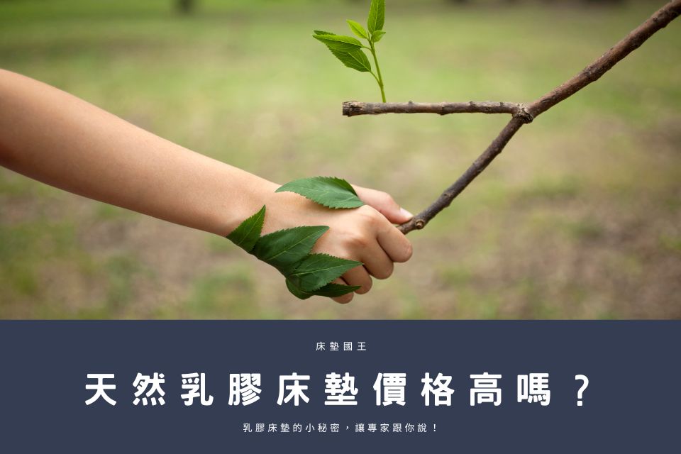 天然乳膠床墊價格高嗎？乳膠床墊的小秘密，讓專家跟你說！